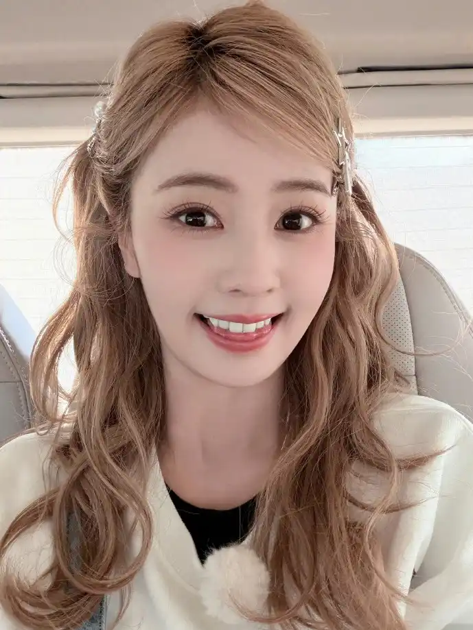 手机备案下载流程示意图